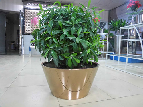 廣東汕頭不銹鋼花盆哪家做的好？